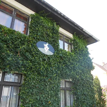 White Rabbit Hall 波杰布拉迪