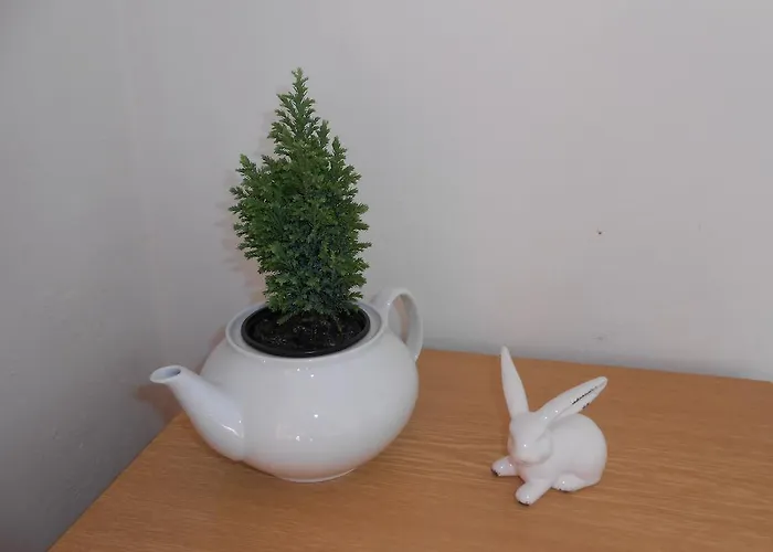 Hotel White Rabbit Hall